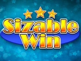 Sizable Win screenshot